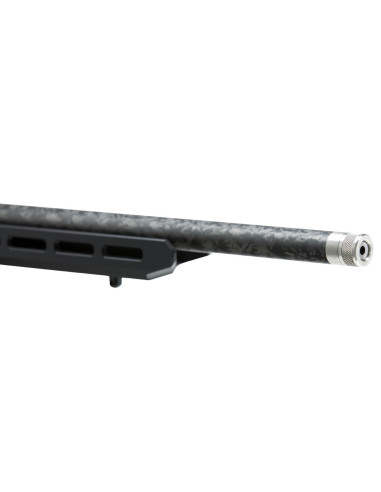 Carabina de cerrojo SAVAGE B22 Precision Lite - 22 LR - 70256