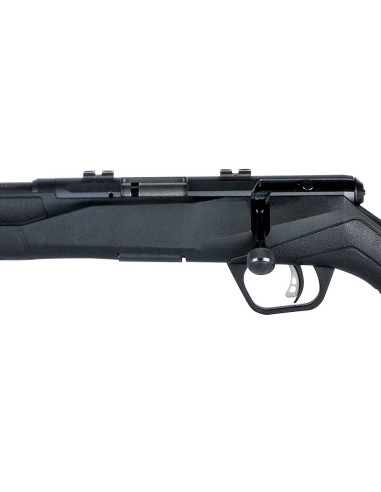 Rifle de cerrojo SAVAGE B17 F - 17 HMR (zurdo) - 70840