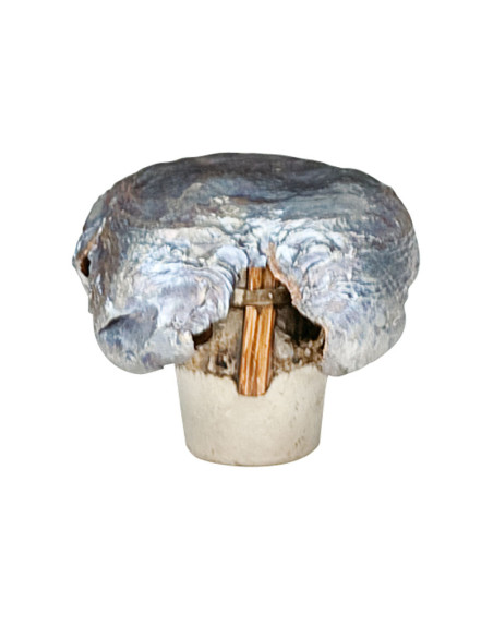 Punta de bala FEDERAL Trophy Bonded Tip
