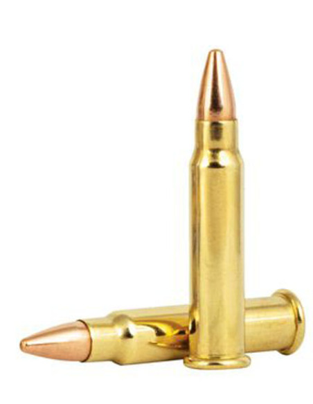 Munición metálica CCI - 17 HMR - 20 grains - FMJ - 55
