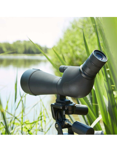 Telescopio NOBLEX NS 20-60x80 ED - 50242