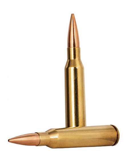 Munición metálica FEDERAL Gold Medal Sierra MatchKing - 338 Lapua Mag. - 300 grains - GM338LM2