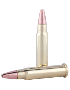 Munición metálica FEDERAL Speer TNT - 17 HMR - 17 grains - P770 2