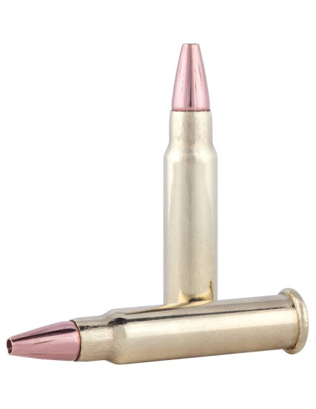 Munición metálica FEDERAL Speer TNT - 17 HMR - 17 grains - P770