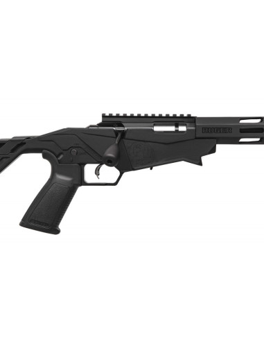 Carabina de cerrojo RUGER Precision - 22 LR - 08401