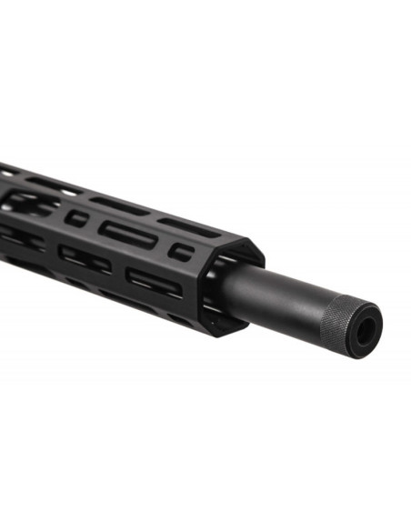 Carabina de cerrojo RUGER Precision - 22 LR - 08401