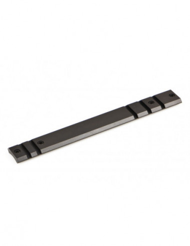 Base WARNE Maxima - SAVAGE Axis