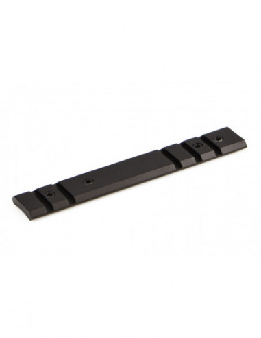 Base WARNE Maxima - RUGER 10/22 10 MOA