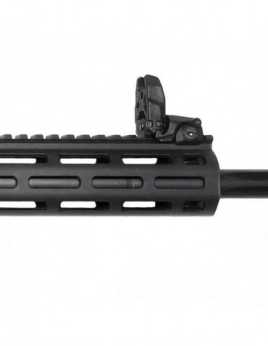 Carabina semiautomática Smith & Wesson M&P15-22...