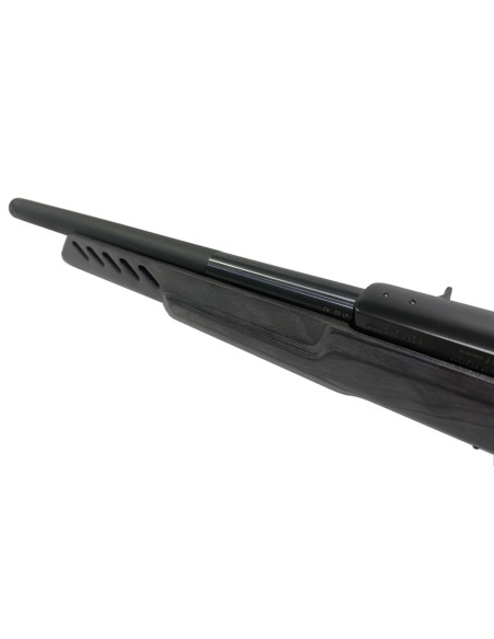 Carabina semiautomática RUGER 10/22 Target - 22 LR - 21186