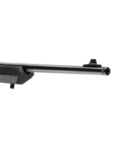 Carabina semiautomática SAVAGE A22 Takedown - 22 LR - 47260