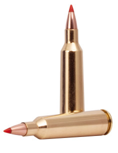 Munición metálica FEDERAL Varmint & Predator Hornady V-Max - 22-250 Rem. - 55 grains - V22250VM2 2