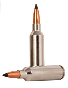 Munición metálica FEDERAL Trophy Copper - 270 WSM - 130 grains - P270WSMTC1 2