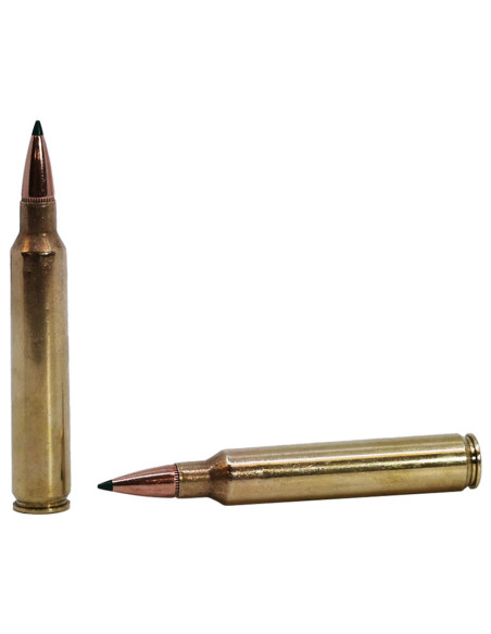Munición metálica REMINGTON Core-Lokt Tipped - 300 RUM - 180 grains - R29045