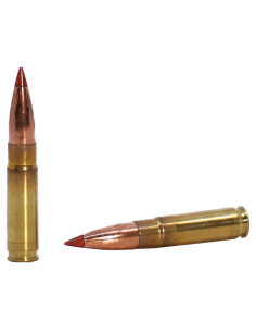 Munición metálica FEDERAL Subsonic Fusion Tipped - 300 AAC Blk - 190 grains - F300BMSR3 2