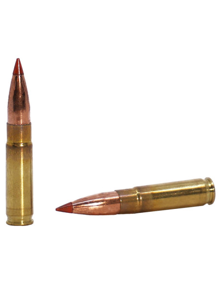 Munición metálica FEDERAL Subsonic Fusion Tipped - 300 AAC Blk - 190 grains - F300BMSR3