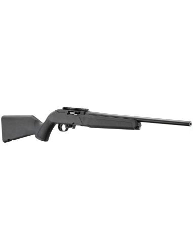 Carabina semiautomática RUGER 10/22 M-LOK - 22 LR - 32033