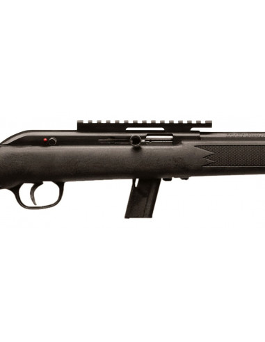 Carabina semiautomática SAVAGE 64 FV-SR - 22 LR - 45110