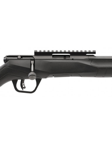 Carabina de cerrojo SAVAGE B22 FV-SR - 22 LR - 70203