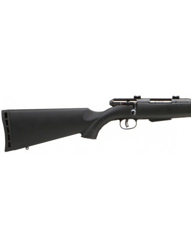 Rifle de cerrojo SAVAGE 25 Walking Varminter  - 222 Rem. - 55381
