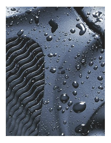 Prismático BUSHNELL H2O 8x42