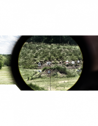 Visor BUSHNELL ELITE TACTICAL DMR3 3.5-21x50 FFP G4P - ETDMR3G4
