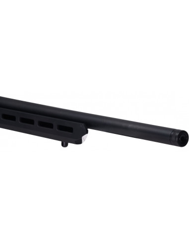 Carabina semiautomática SAVAGE A22 Precision - 22 LR - 47248