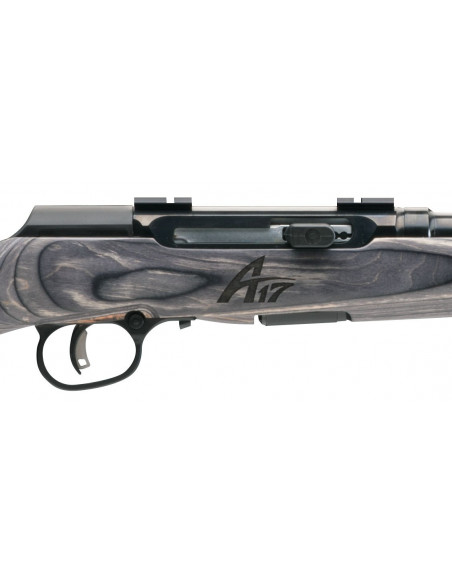 Rifle semiautomático SAVAGE A17 Sporter - 17 HMR - 55533