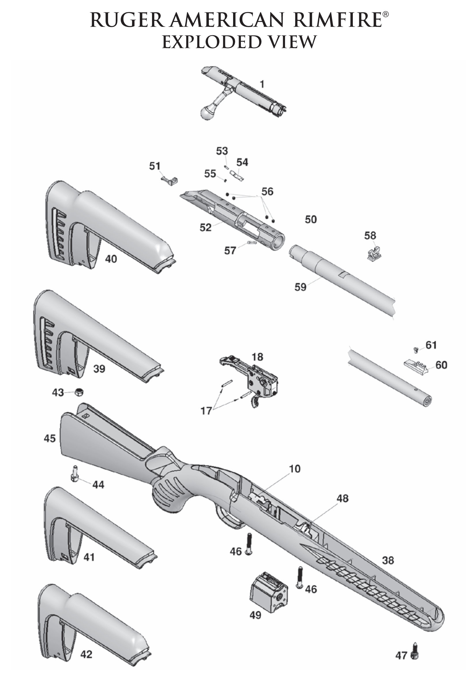 RUGER American Rimfire