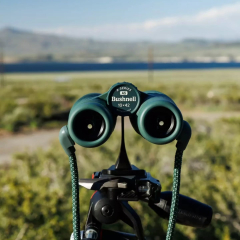 𝗣𝗿𝗶𝘀𝗺𝗮́𝘁𝗶𝗰𝗼 𝗕𝗨𝗦𝗛𝗡𝗘𝗟𝗟 𝗔𝟱 🚀
Óptica más grande y brillante para disfrutar de las vistas exteriores más inmersivas.
El prismático Bushnell A5 es el modelo insignia de la Serie A, diseñado para los amantes de la naturaleza que buscan las imágenes más brillantes y con la mayor precisión de color.
#Info #INFORMACION