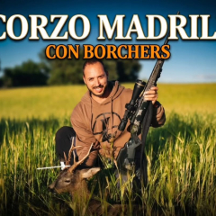 ¡𝗬𝗔 𝗘𝗡 𝗬𝗢𝗨𝗧𝗨𝗕𝗘 📽!

Nuestro colaborador Ángel García se desplaza al norte de Madrid para dar caza a un bonito corzo en siembra, no sin antes presentar el equipo a utilizar y ponerlo a tiro para hacer una simulación de tiro a fuego real y posteriormente ponerlo a prueba en acción de caza.

El equipo utilizado es un:
Savage 110 Ultralite Camo 308w
Leupold VX-5HD 3-15x56
Federal Fusion Tipped 180 gr.

Esperemos que os guste...

Borchers