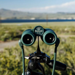 𝗣𝗿𝗶𝘀𝗺𝗮́𝘁𝗶𝗰𝗼 𝗕𝗨𝗦𝗛𝗡𝗘𝗟𝗟 𝗔𝟱 🚀

Óptica más grande y brillante para disfrutar de las vistas exteriores más inmersivas.

El prismático Bushnell A5 es el modelo insignia de la Serie A, diseñado para los amantes de la naturaleza que buscan las imágenes más brillantes y con la mayor precisión de color.

#Info #INFORMACION
