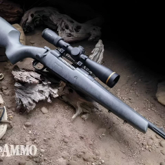 𝗠𝗢𝗦𝗦𝗕𝗘𝗥𝗚 𝗣𝗮𝘁𝗿𝗶𝗼𝘁 𝗟𝗥 𝗛𝘂𝗻𝘁𝗲𝗿 💥

Cuando está cazando o disparando al blanco, cada detalle y cada fracción de pulgada cuentan. Mossberg ha diseñado su nuevo Patriot LR Hunter con nuevos elementos más precisos para mayor comodidad y precisión.

Posee:

✅️ Cañón acanalado de 22” (56 cm.) pavonado acabado mate con paso de estría 1:10.

✅️ Disparador LBA (Lightning Bolt-Action) ajustable desde el exterior de 0,9 a 3,18 Kg.

✅️ Seguro pivotante de dos posiciones fácil de accionar.

#Información #info