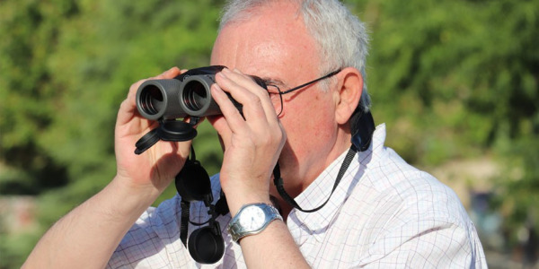 Bushnell Nitro 10x36