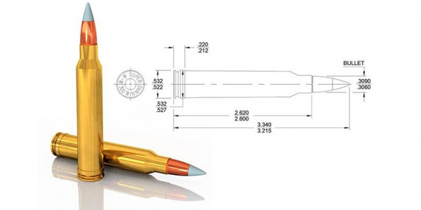 El .300 Winchester Magnum
