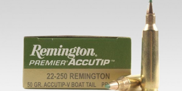 22-250 Remington. Con la mira puesta en zorros, corzos y más...