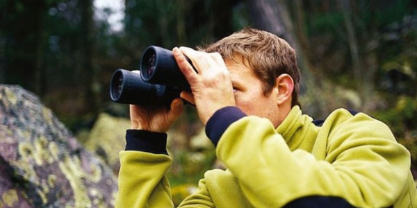 Tipos de binoculares: Analizando la gama BUSHNELL SPECTATOR SPORT.